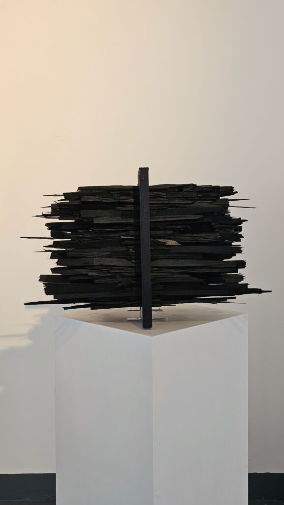 Ardalan Mirhadi – Werkauswahl – Bild 5