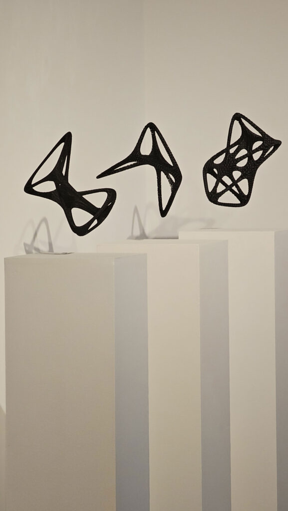 Ardalan Mirhadi – Werkauswahl – Bild 6